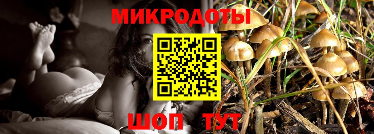 Псилоцибиновые грибы Cubensis Анжеро-Судженск